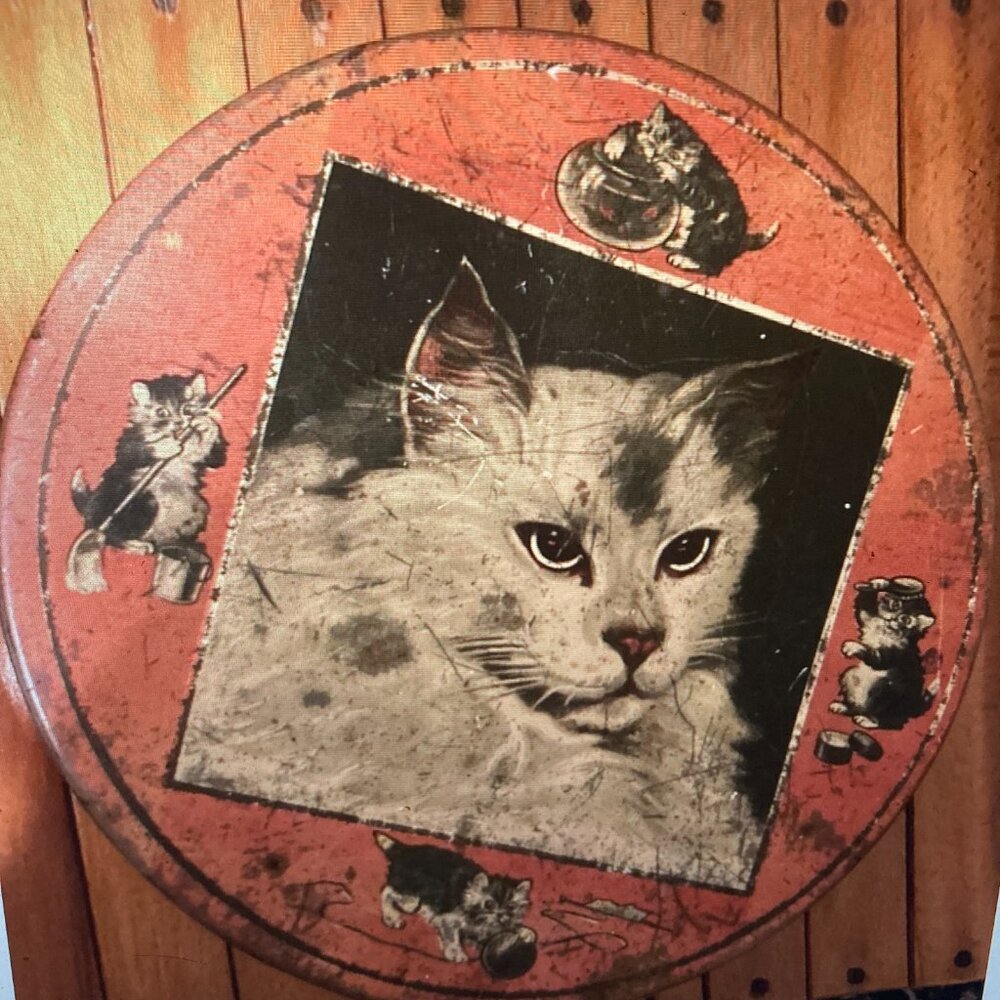 Vintage Mid Century Cat kitten biscuit cookie tin box